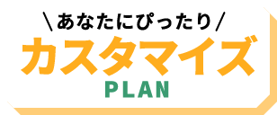 カスタマイズサンプル