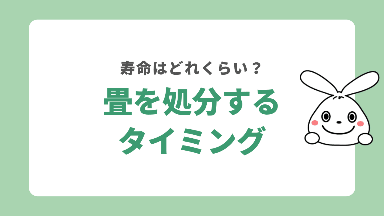 畳を処分するタイミング